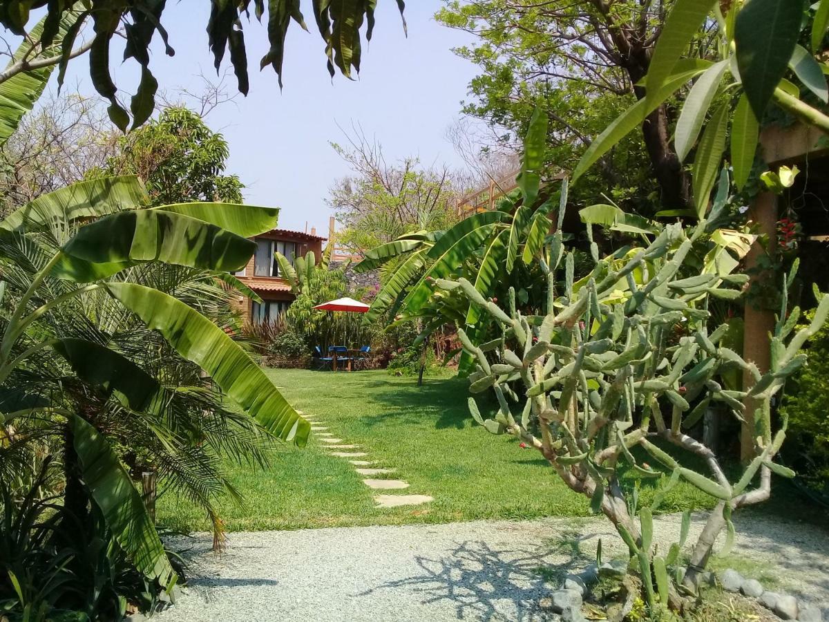 Cabanas El Nido De La Huilota Hotel Tepoztlán Buitenkant foto